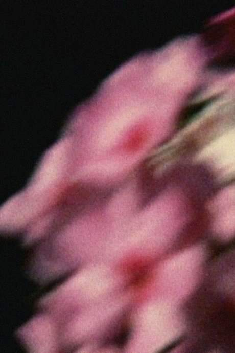 Five Year Diary, Reel 80: Emily Died (May 14–September 26, 1994)